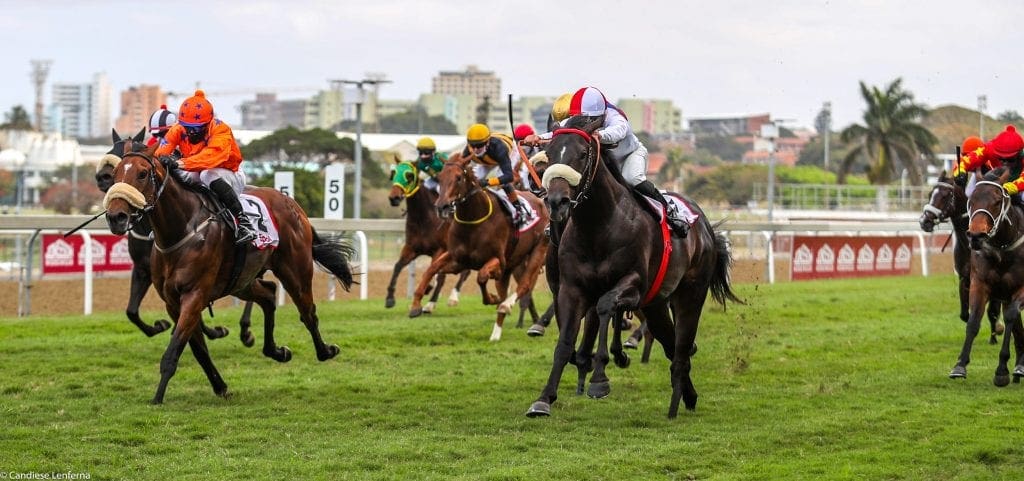 Erik The Red beats Garrulous to the finish in the Gr2 Epol Umkhomazi Stakes. Image: Candiese Lenferna