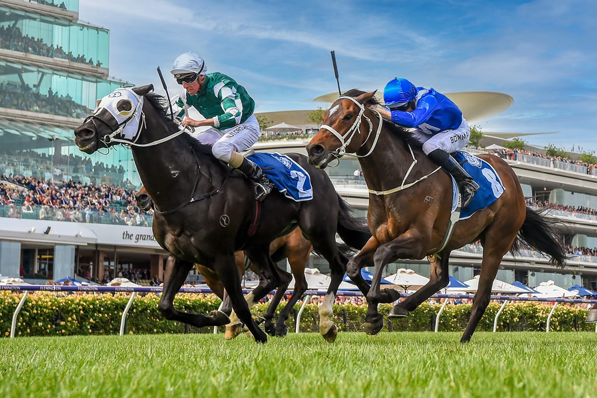 Racing South Africa Thoroughbred Breeders Association of South Africa