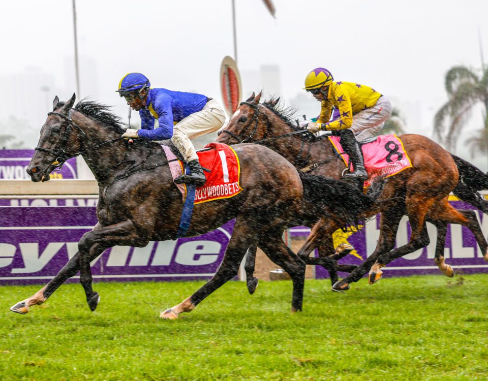 Thoroughbred Breeders Association of South Africa