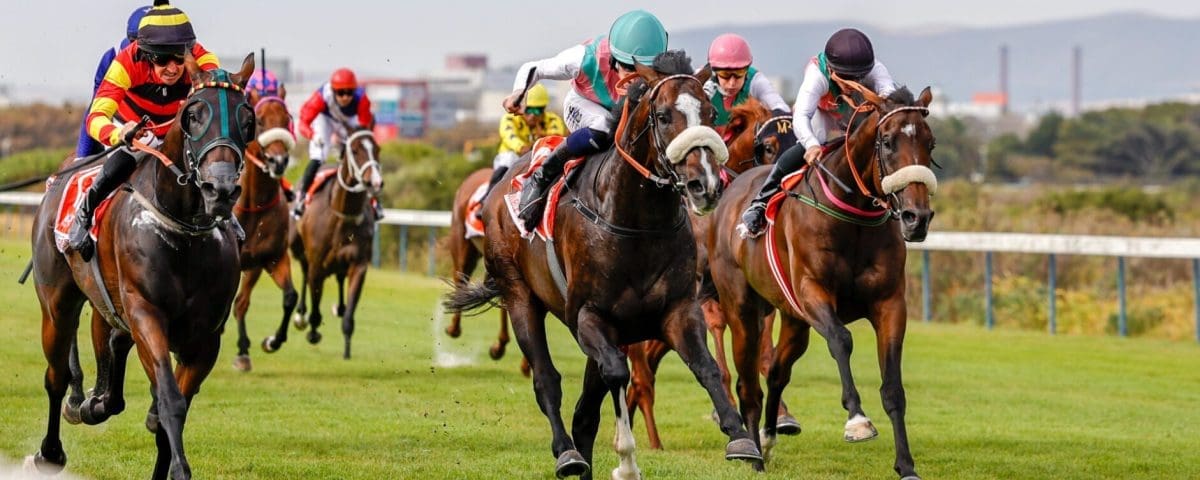 Double Superlative. Image: Candiese Lenferna