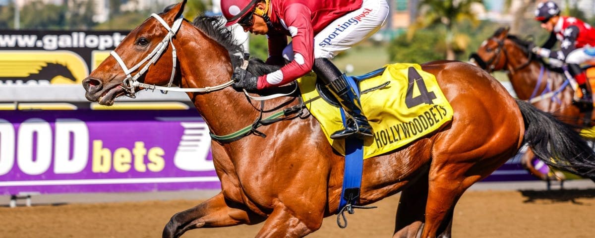 Mister Nibbles by Horizon wins convincingly, giving his owner Mr Ryan King his first winner.