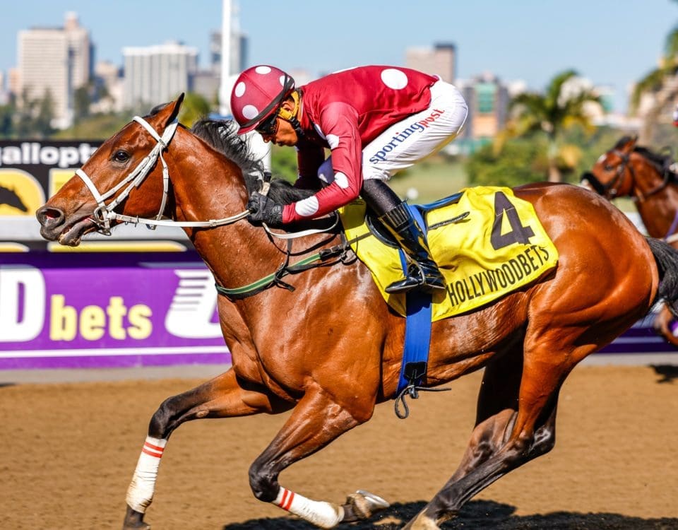 Mister Nibbles by Horizon wins convincingly, giving his owner Mr Ryan King his first winner.