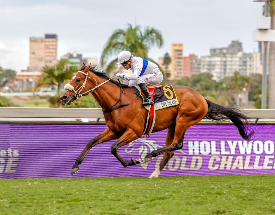 Dave The King gave breeder and part owner Gary Player a Gr1 win and a feature double on the day. Images: Candiese Lenferna