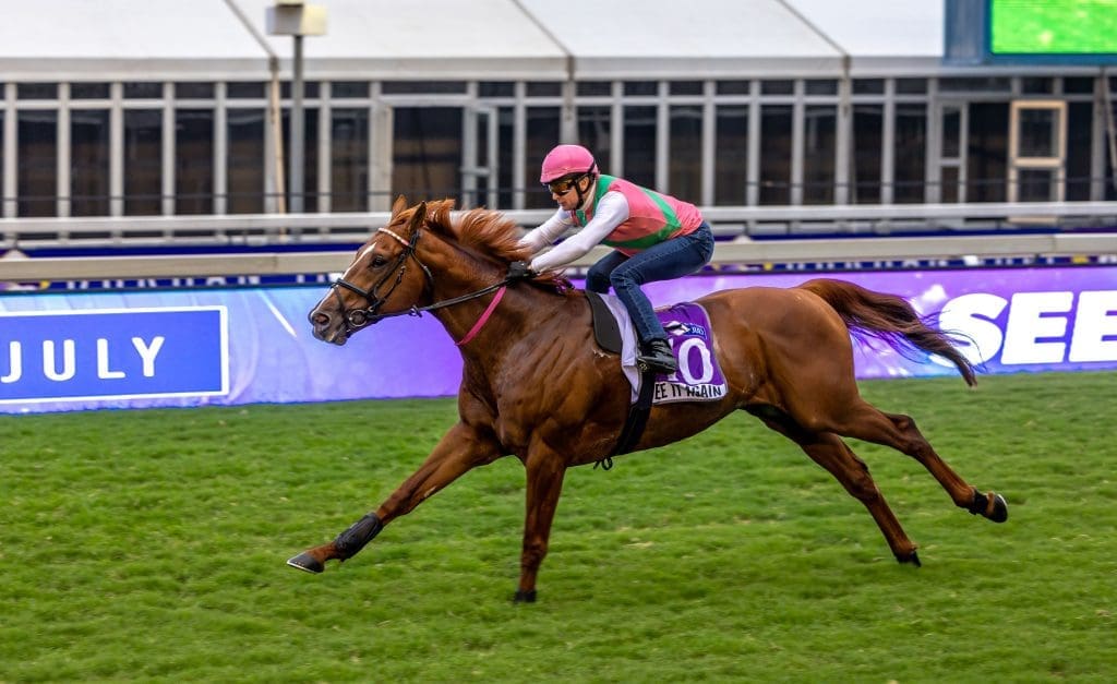 Drakenstein Stud are represented by five horses (including reserve Hluhluwe) in this years HDJ2024. See It Again will be looking to go one better this year. Image: Candiese Lenferna