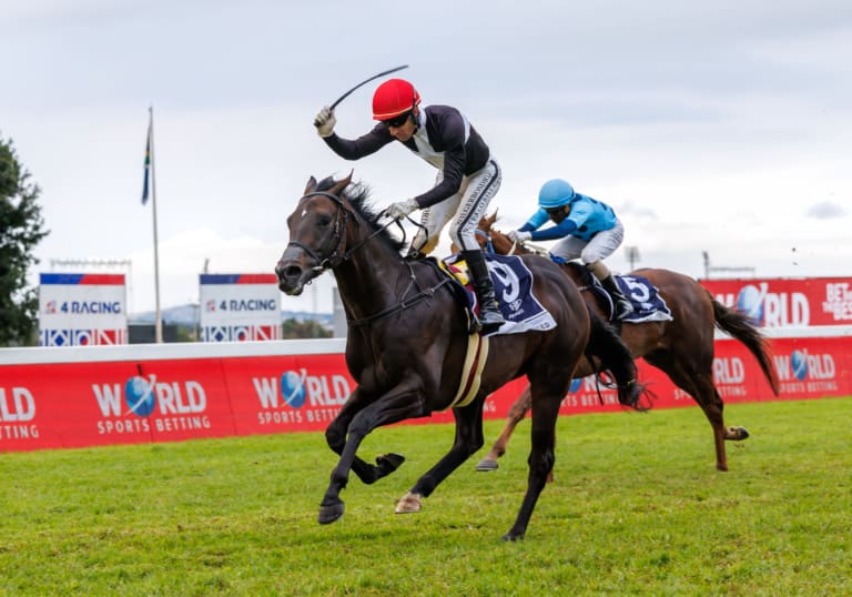 Thoroughbred Breeders Association of South Africa