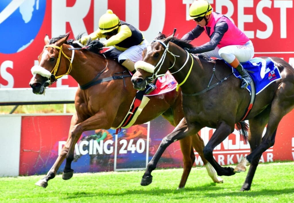 Thoroughbred Breeders Association of South Africa