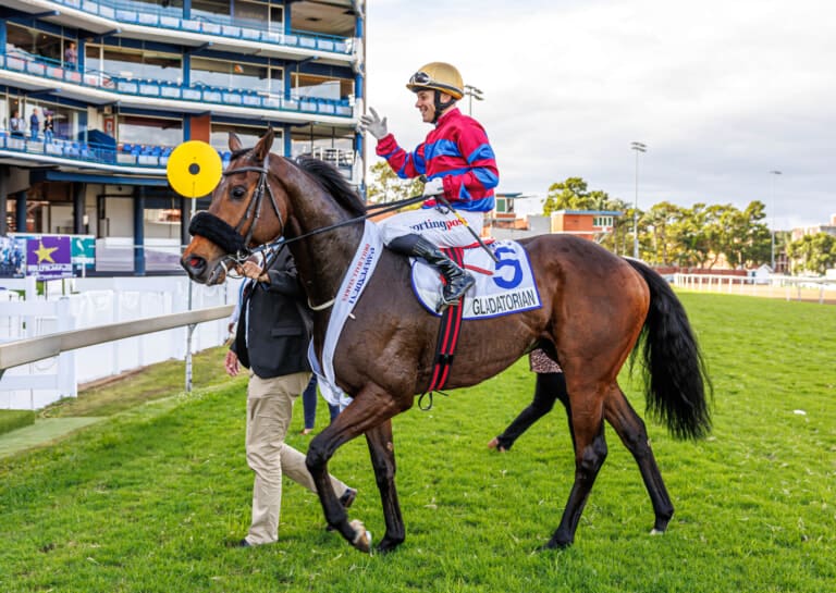 Thoroughbred Breeders Association of South Africa