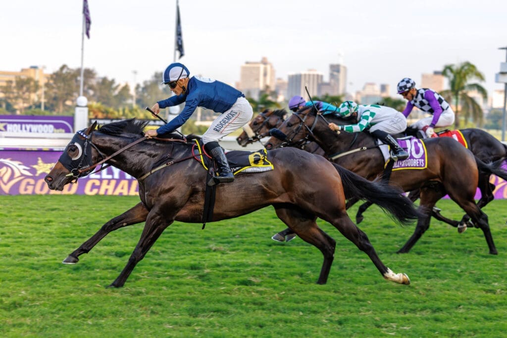 Malmesbury Missile. Image: Candiese Lenferna